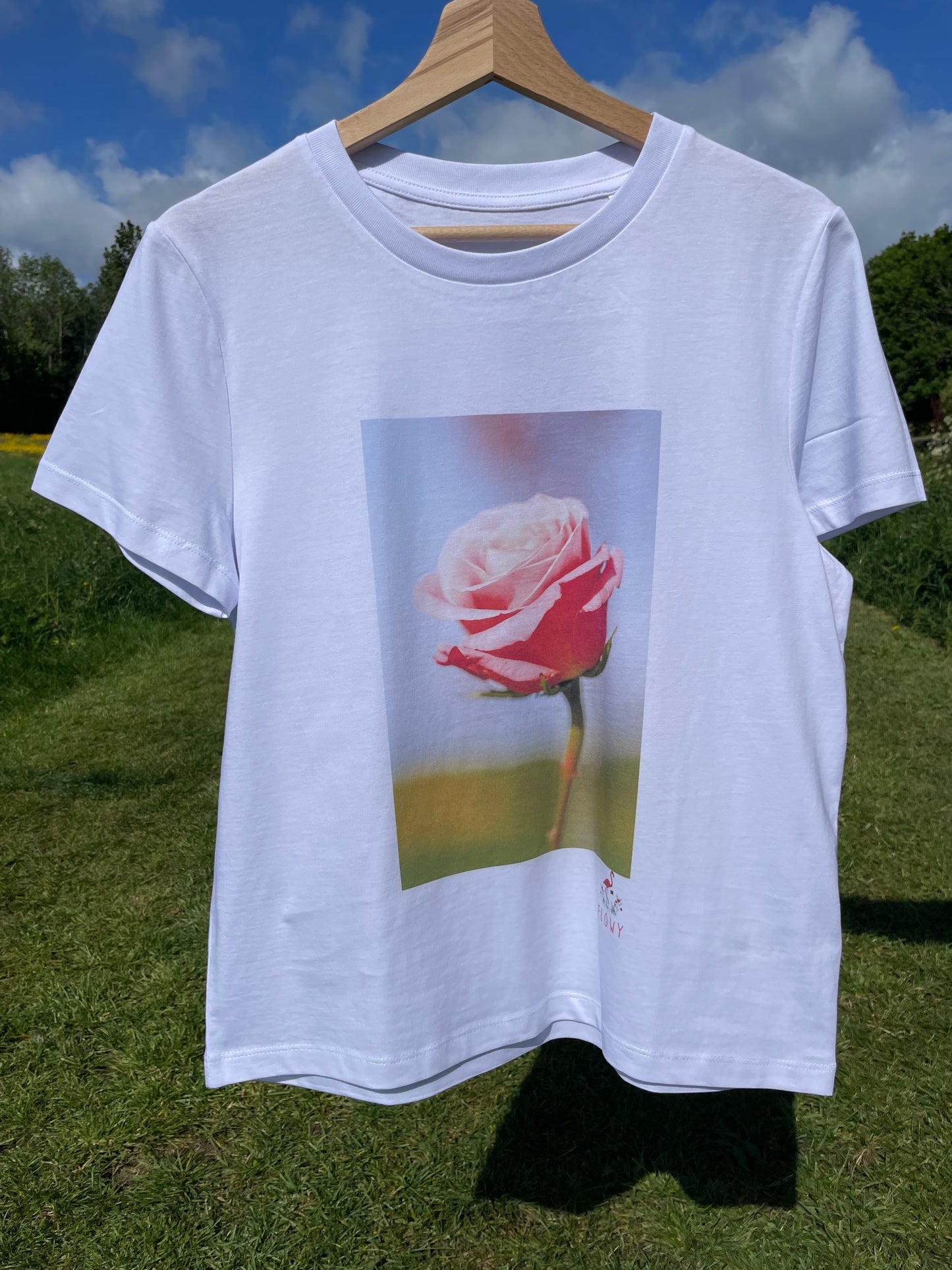 Pink and White Rose: White