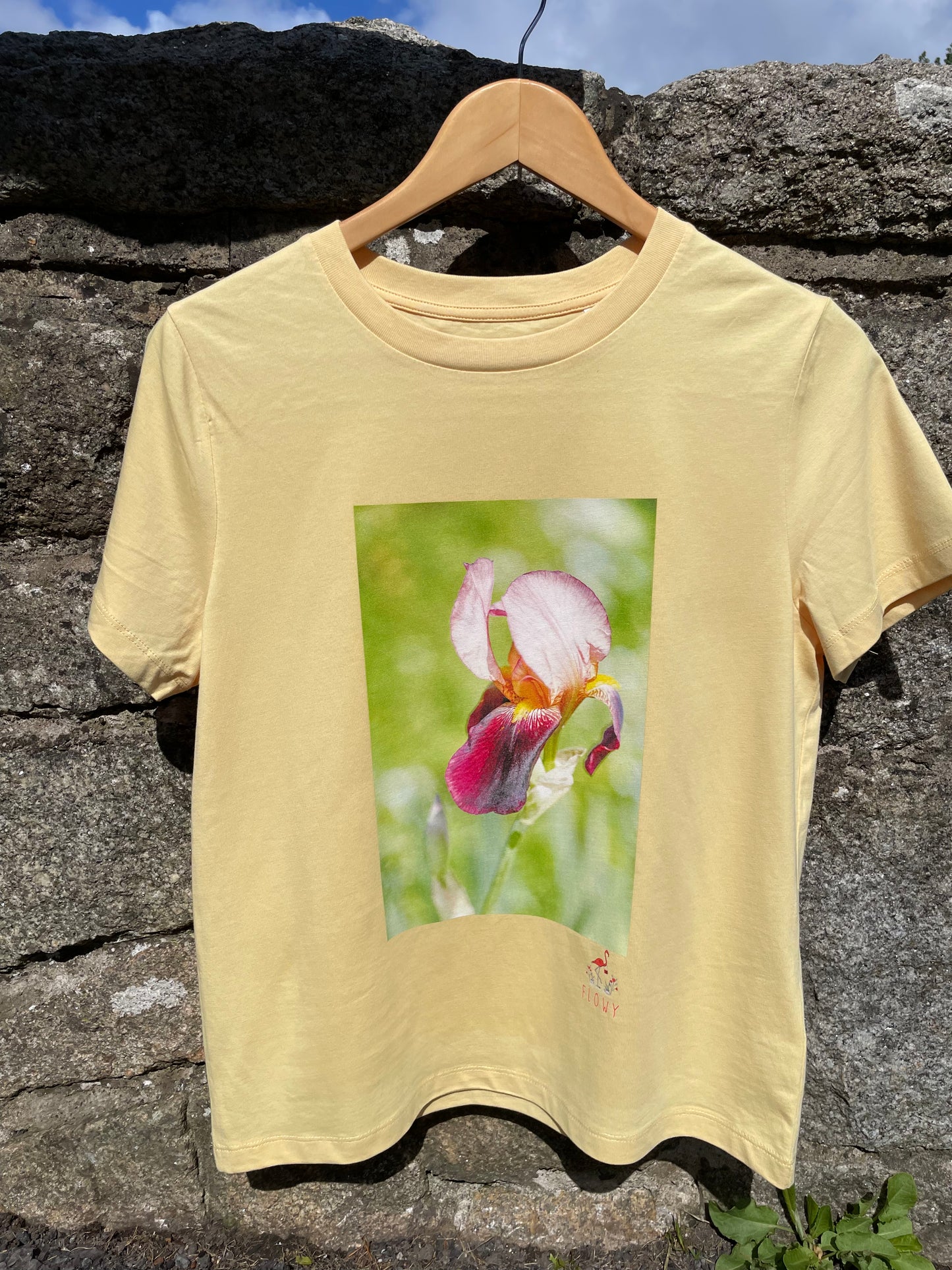 Dancing Iris: Viva Yellow