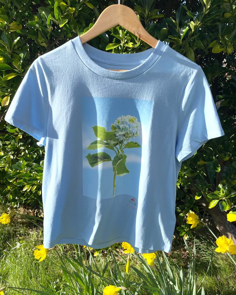 Hydrangea: Blue Soul