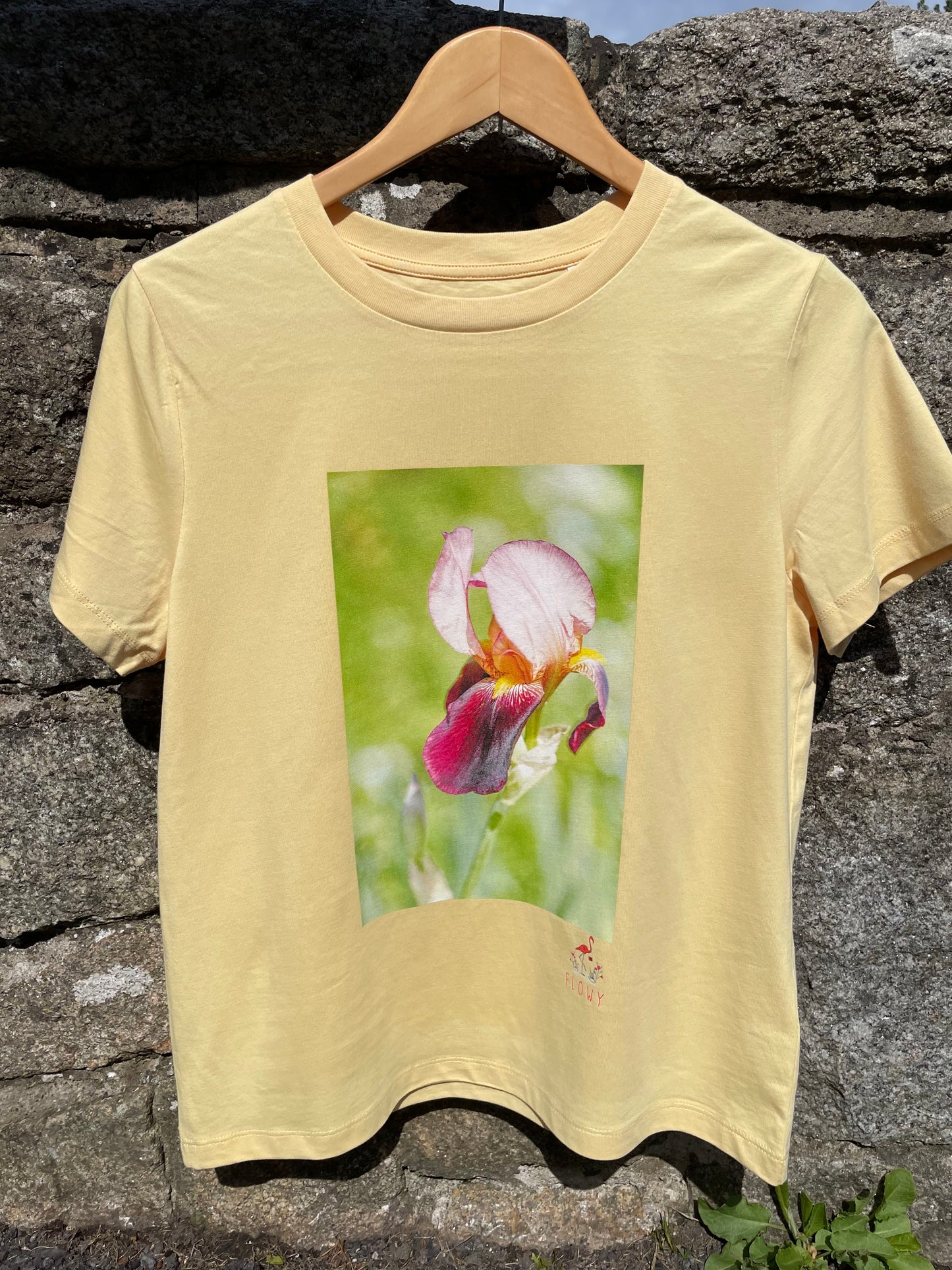 Dancing Iris: Viva Yellow