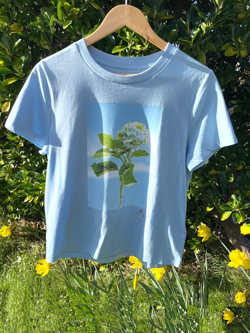 Hydrangea: Blue Soul