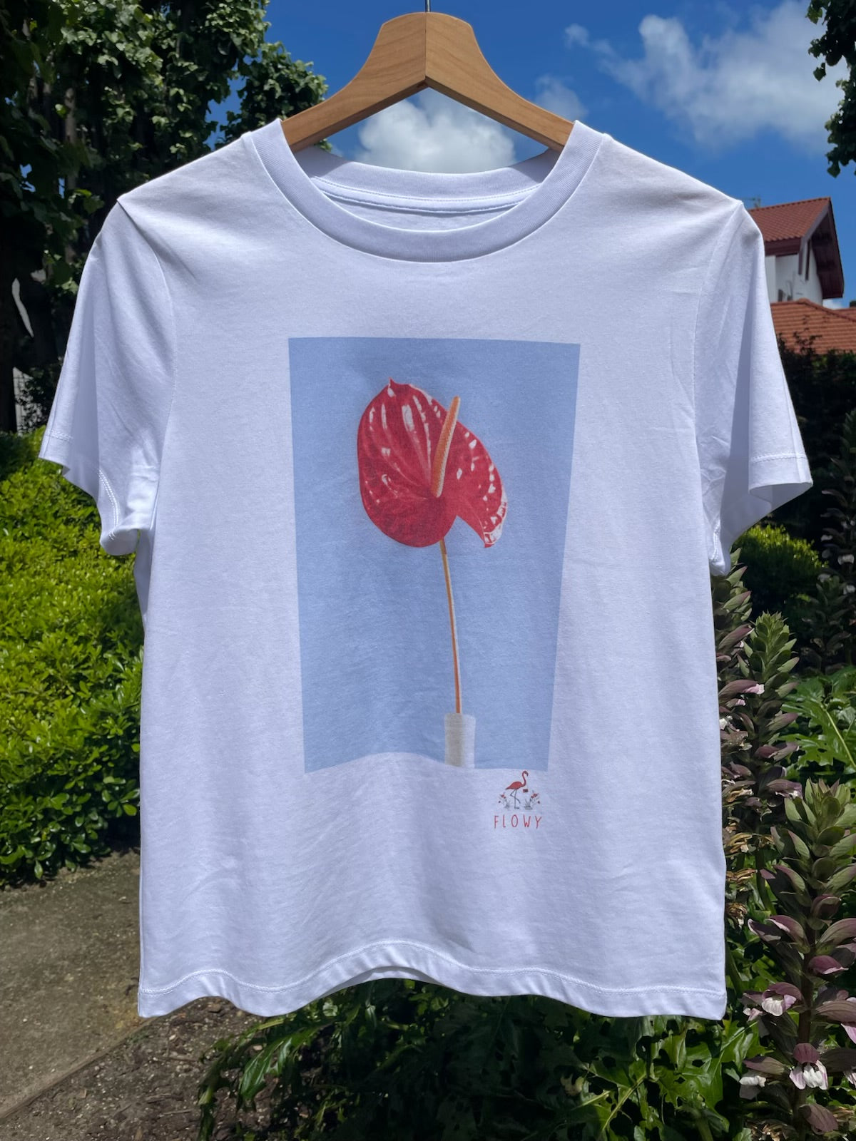 Flamingo Flower: White