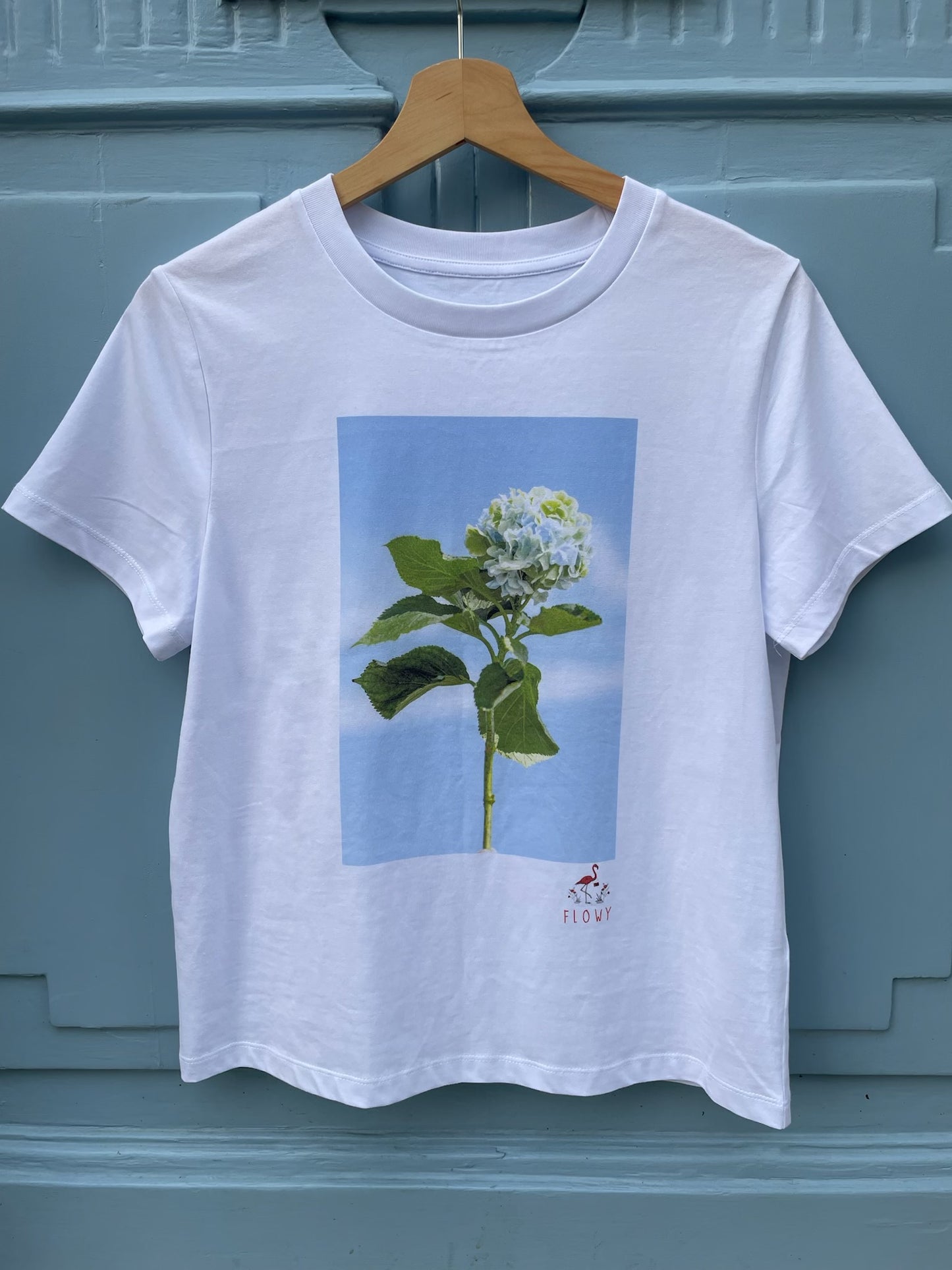 Hydrangea: White