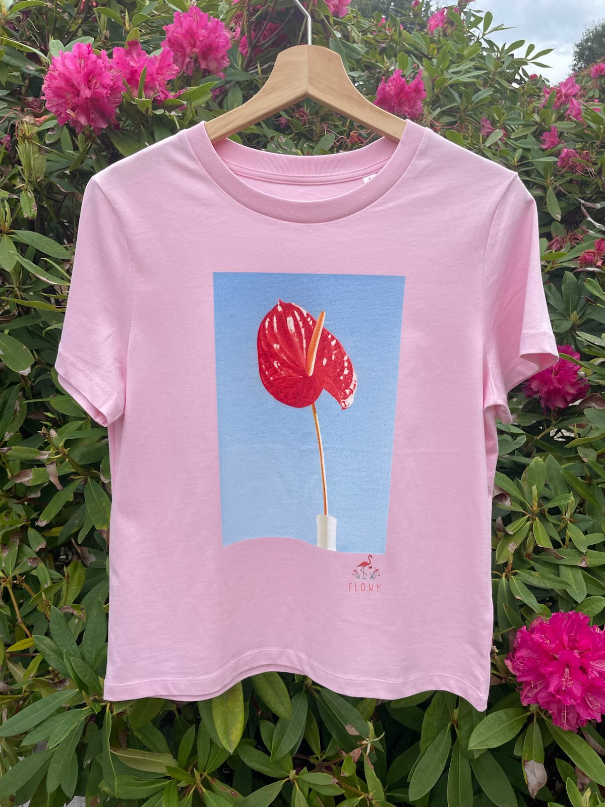 Flamingo Flower: Cotton Pink