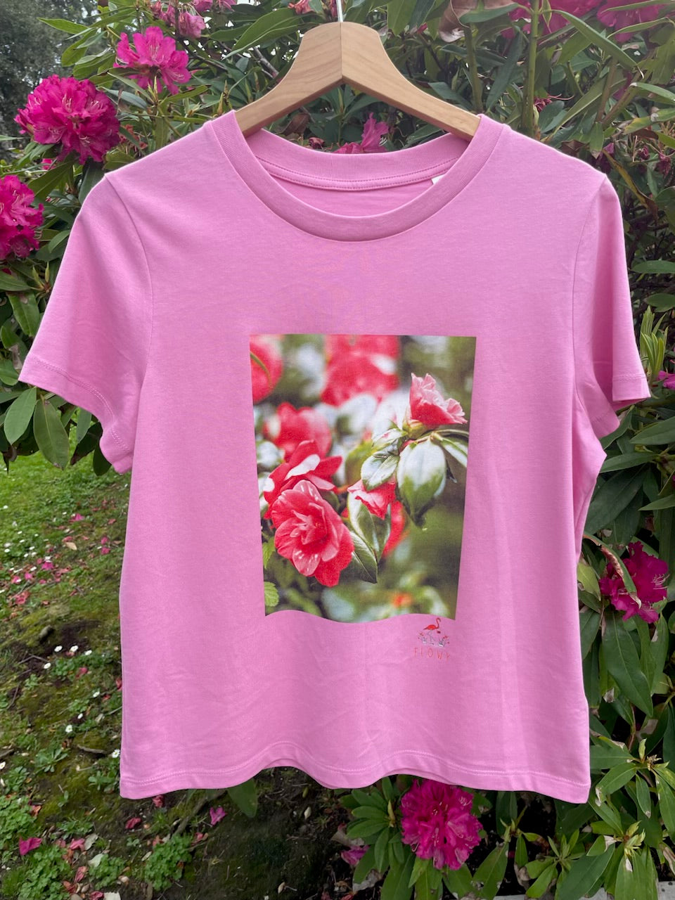 Camellia Flowers: Bubble Pink