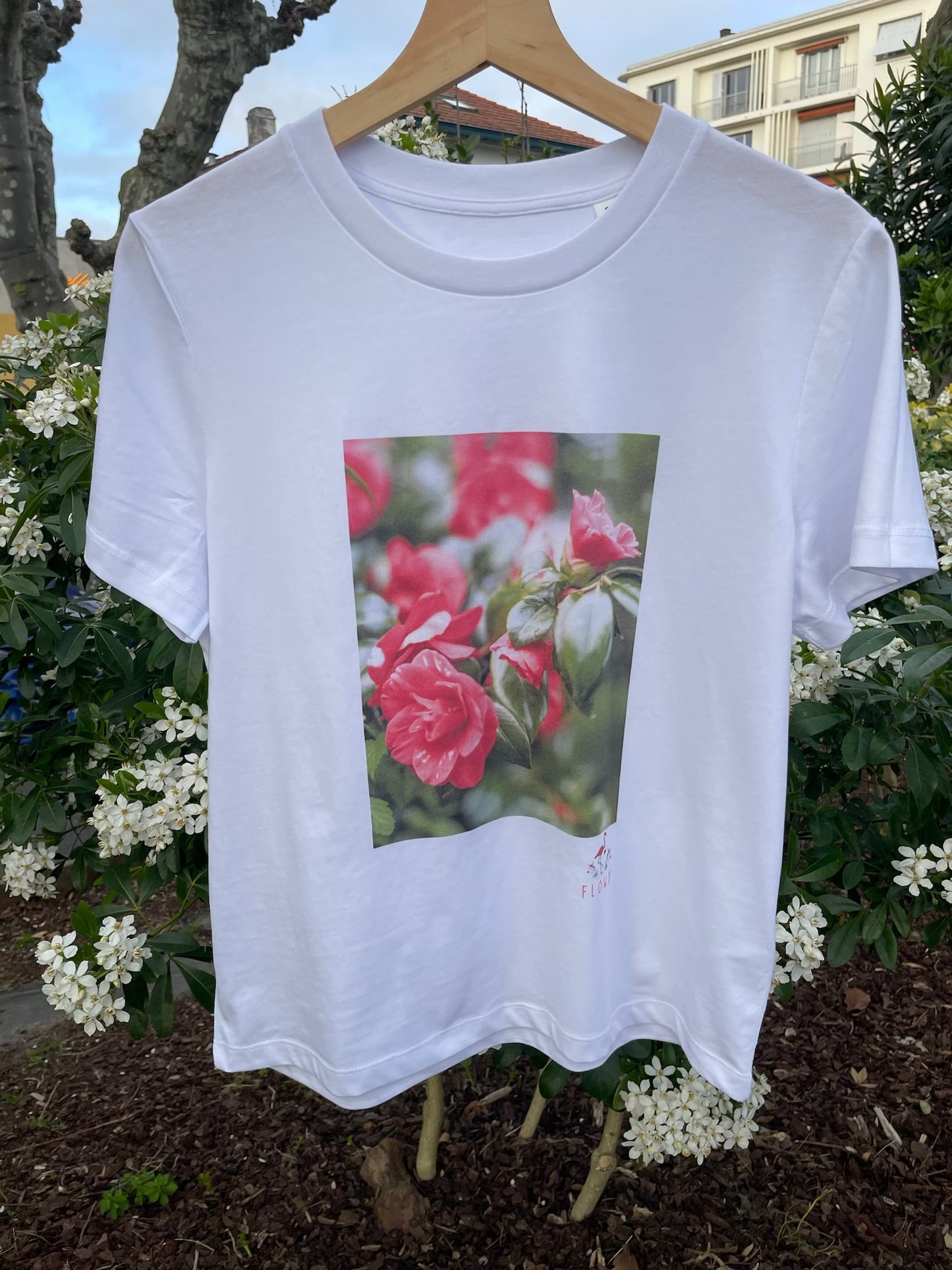 Camellia Flowers: White
