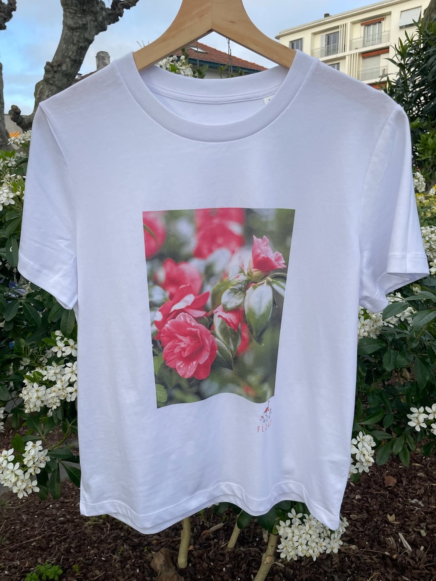 Camellia Flowers: White