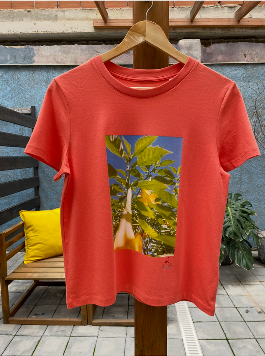 Golden Light: Fiesta