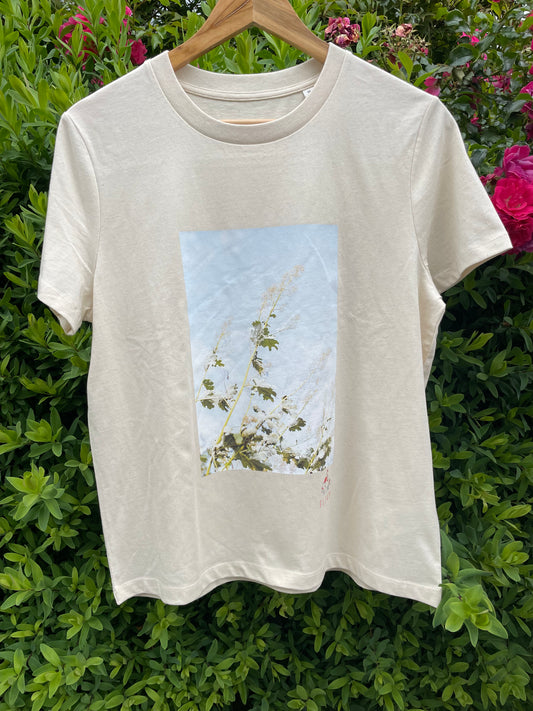 Summer Breeze : Natural Raw (revised fit)