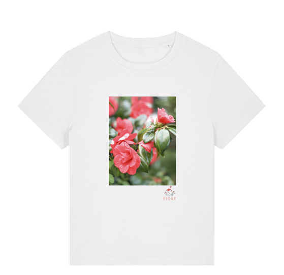 Camellia Flowers: White