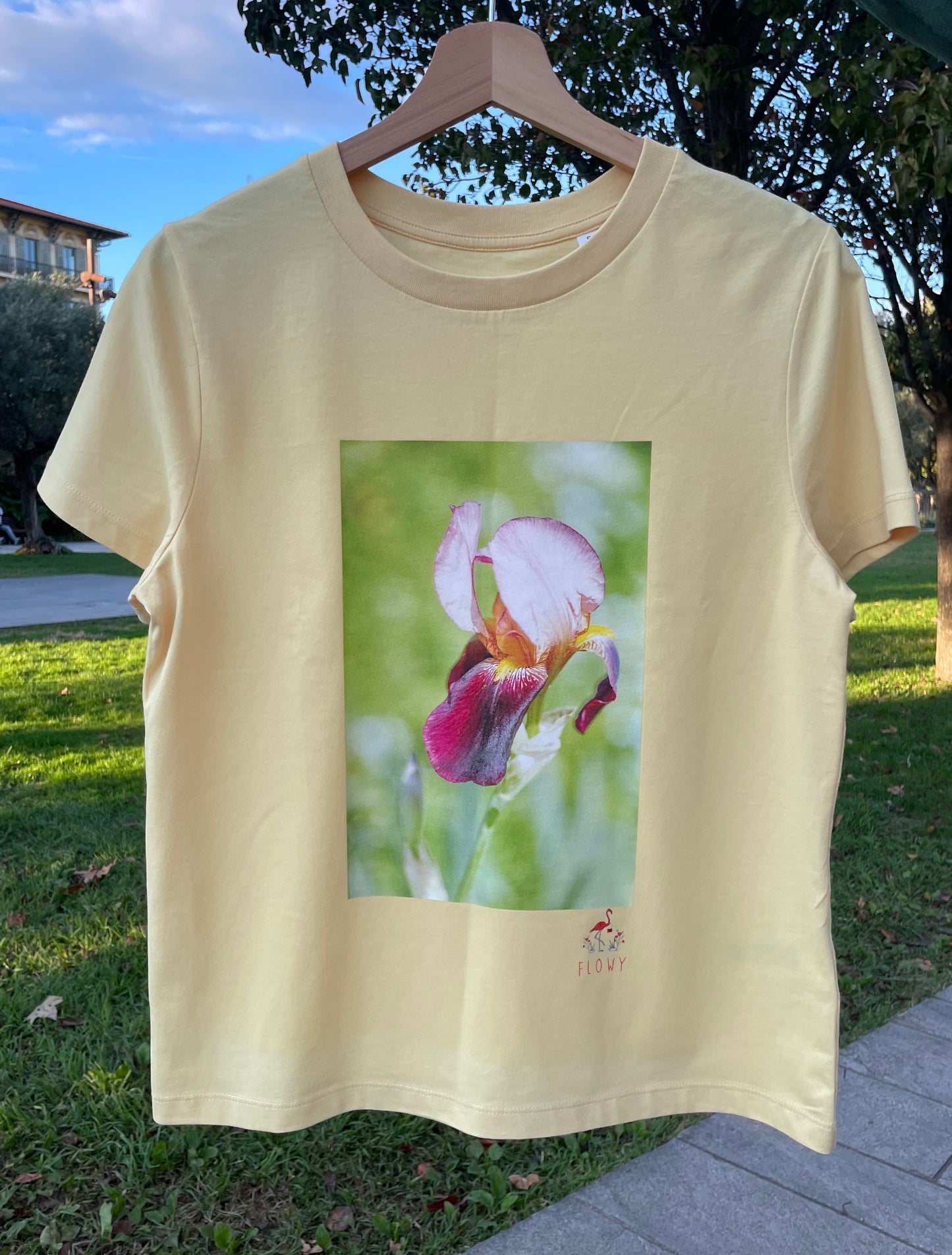 Dancing Iris: Viva Yellow