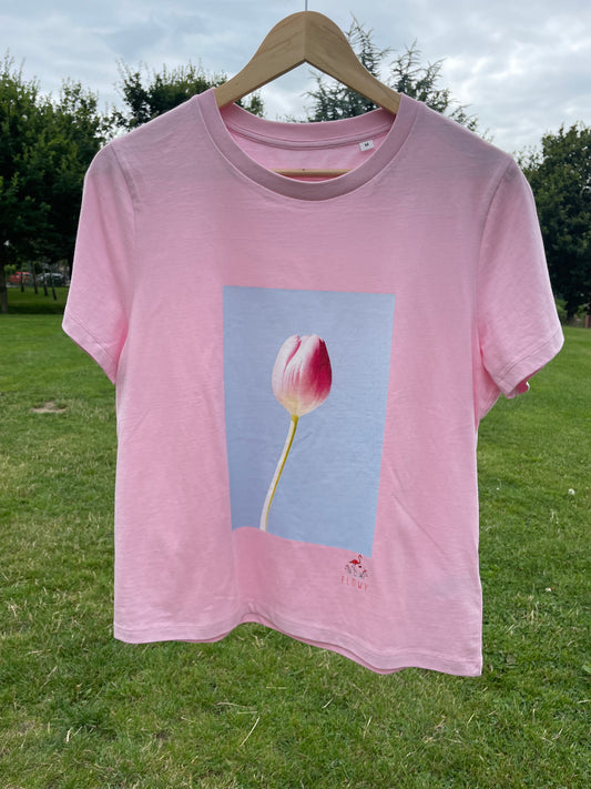 Tulip: Cotton Pink (revised fit)