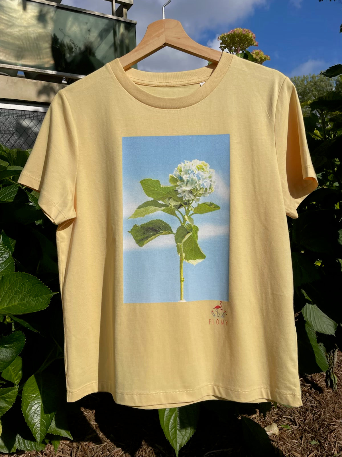 Hydrangea: Viva Yellow