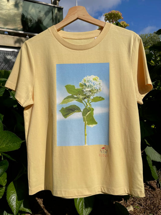 Hydrangea: Viva Yellow