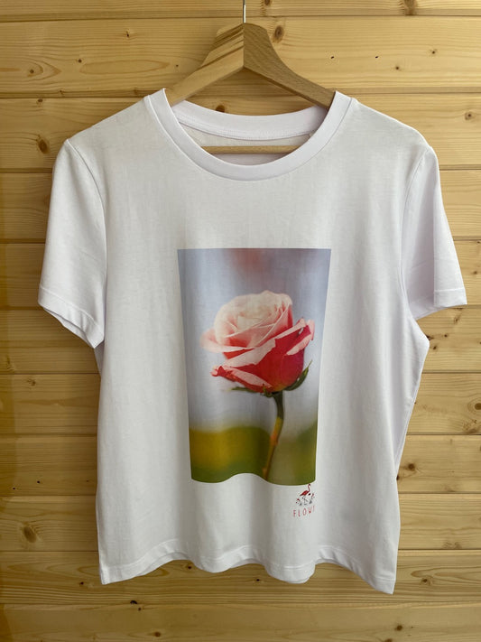 Pink and White Rose: White
