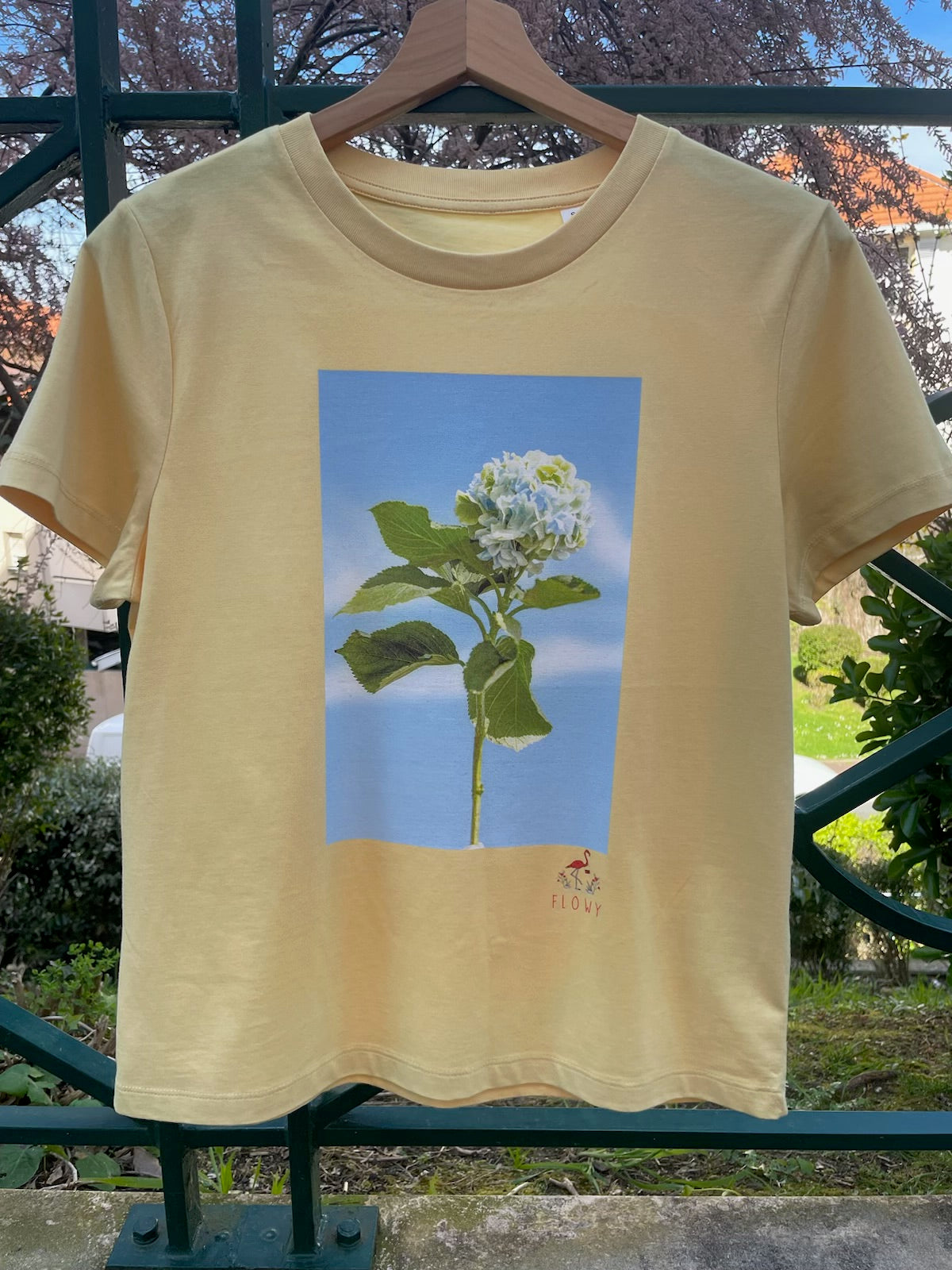 Hydrangea: Viva Yellow