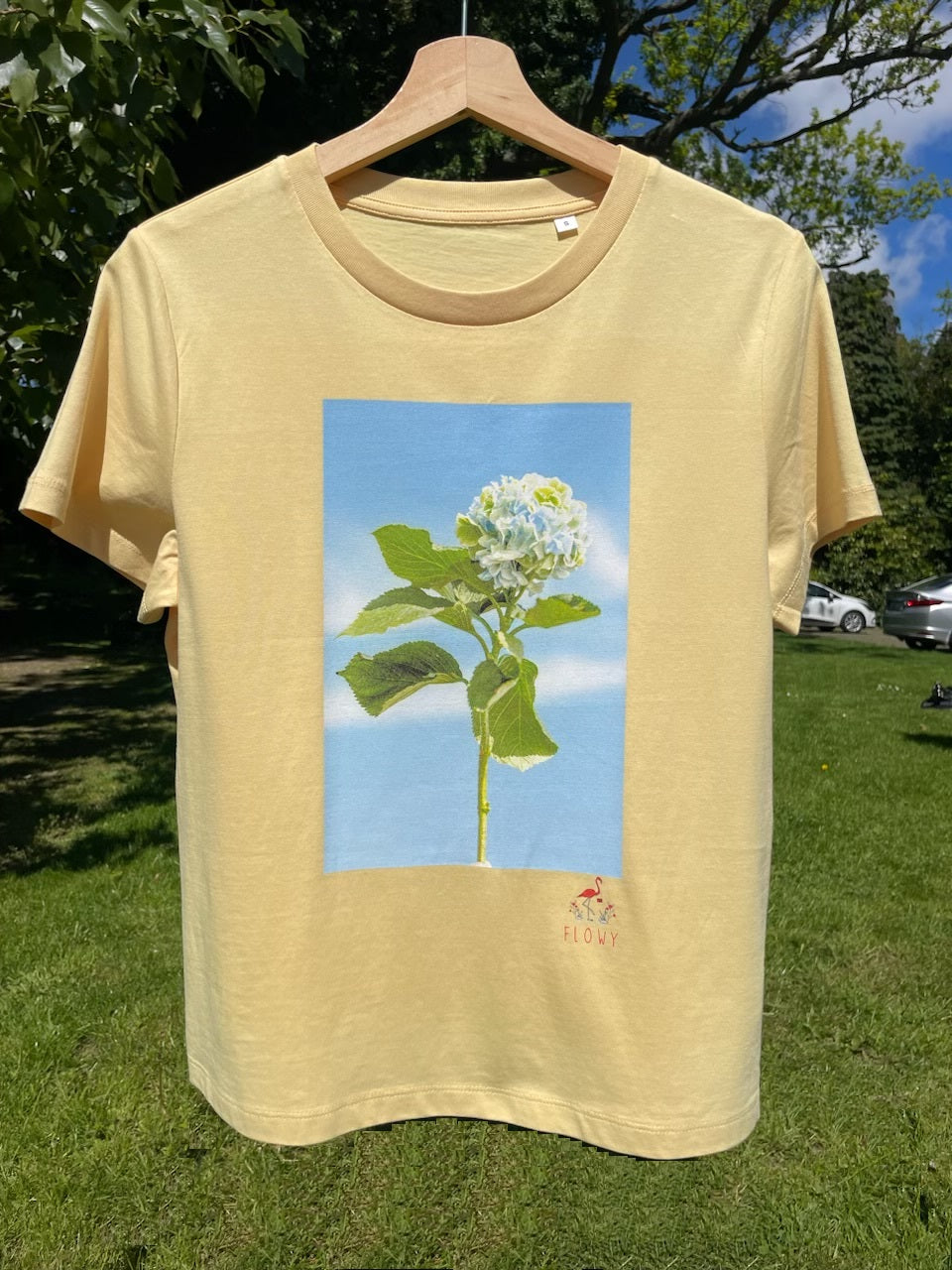 Hydrangea: Viva Yellow