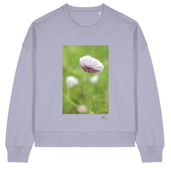 Morning Dew - Lavender - (Alma-style)