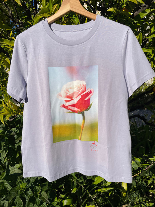 Pink and White Rose: Lavender