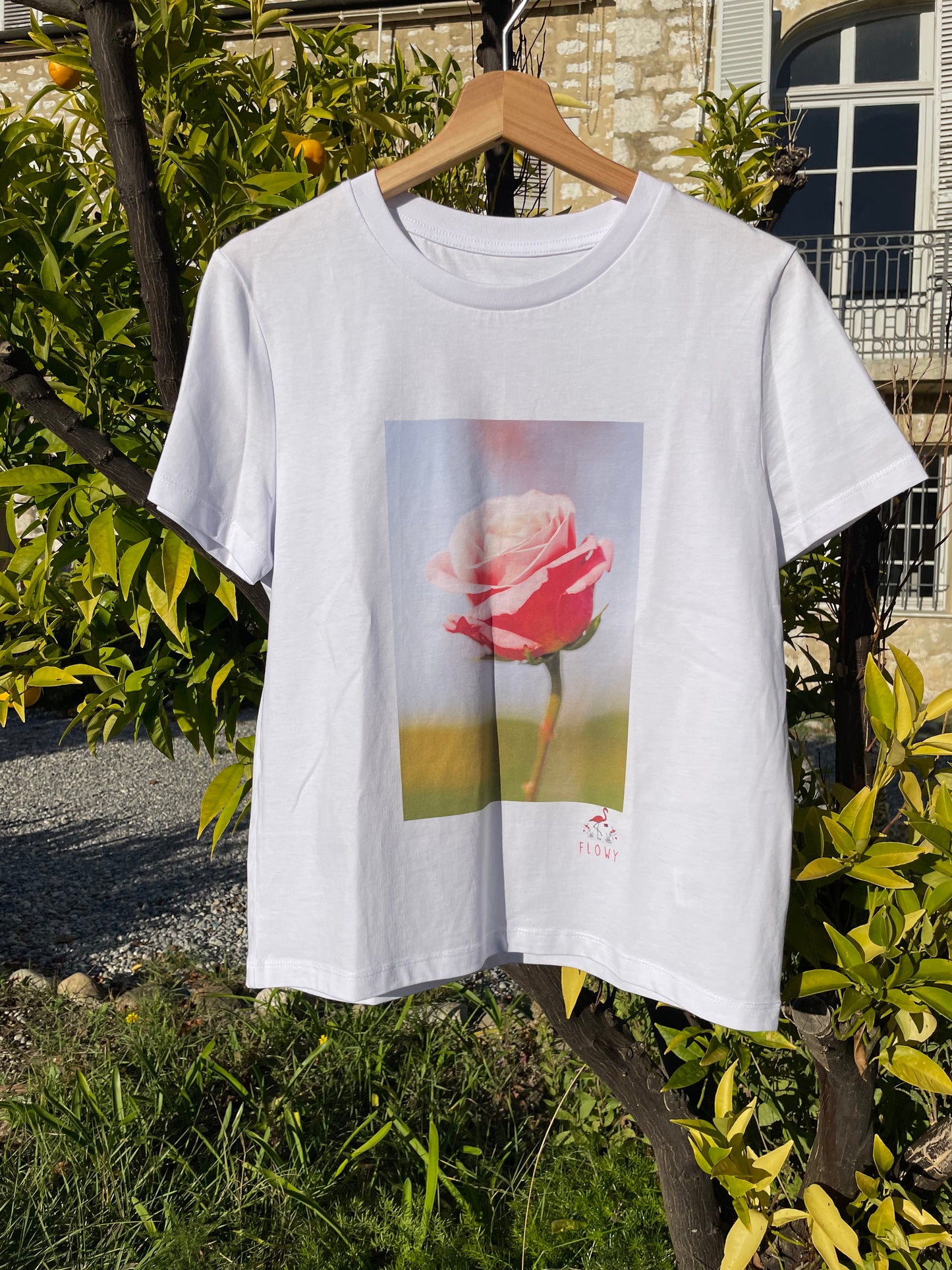 Pink and White Rose: White